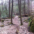 Martins Fork - 4